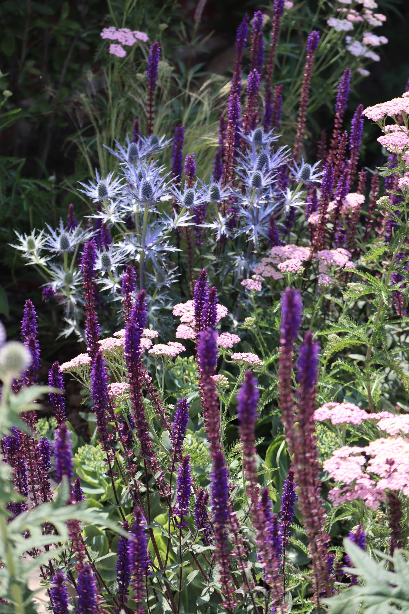 Brighton Garden Design