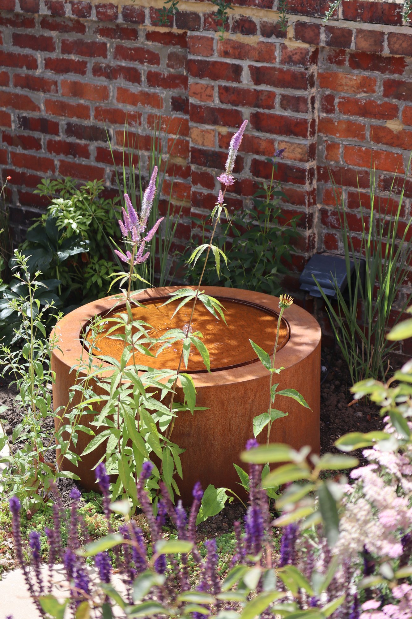 Brighton Family Garden detail