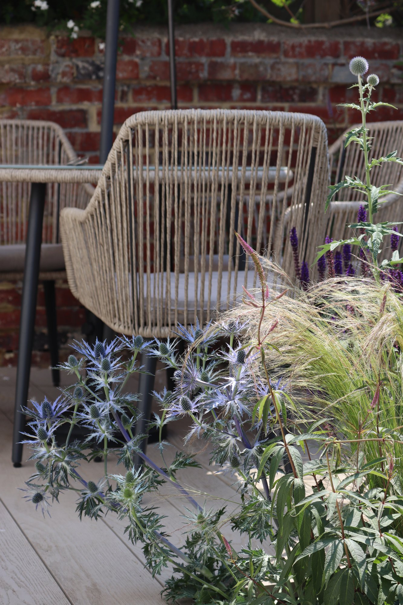 Brighton Family Garden detail