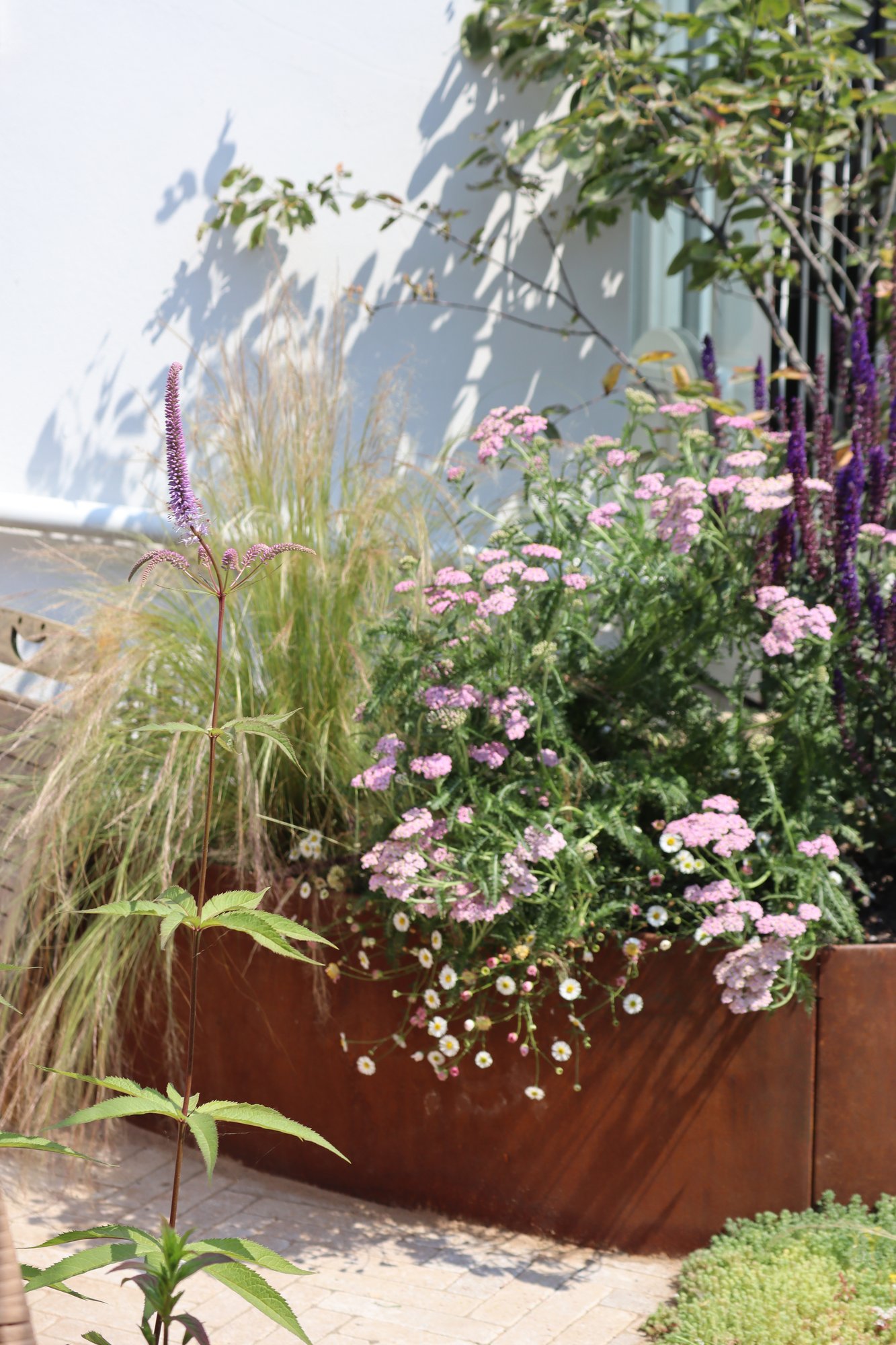 Brighton Family Garden detail