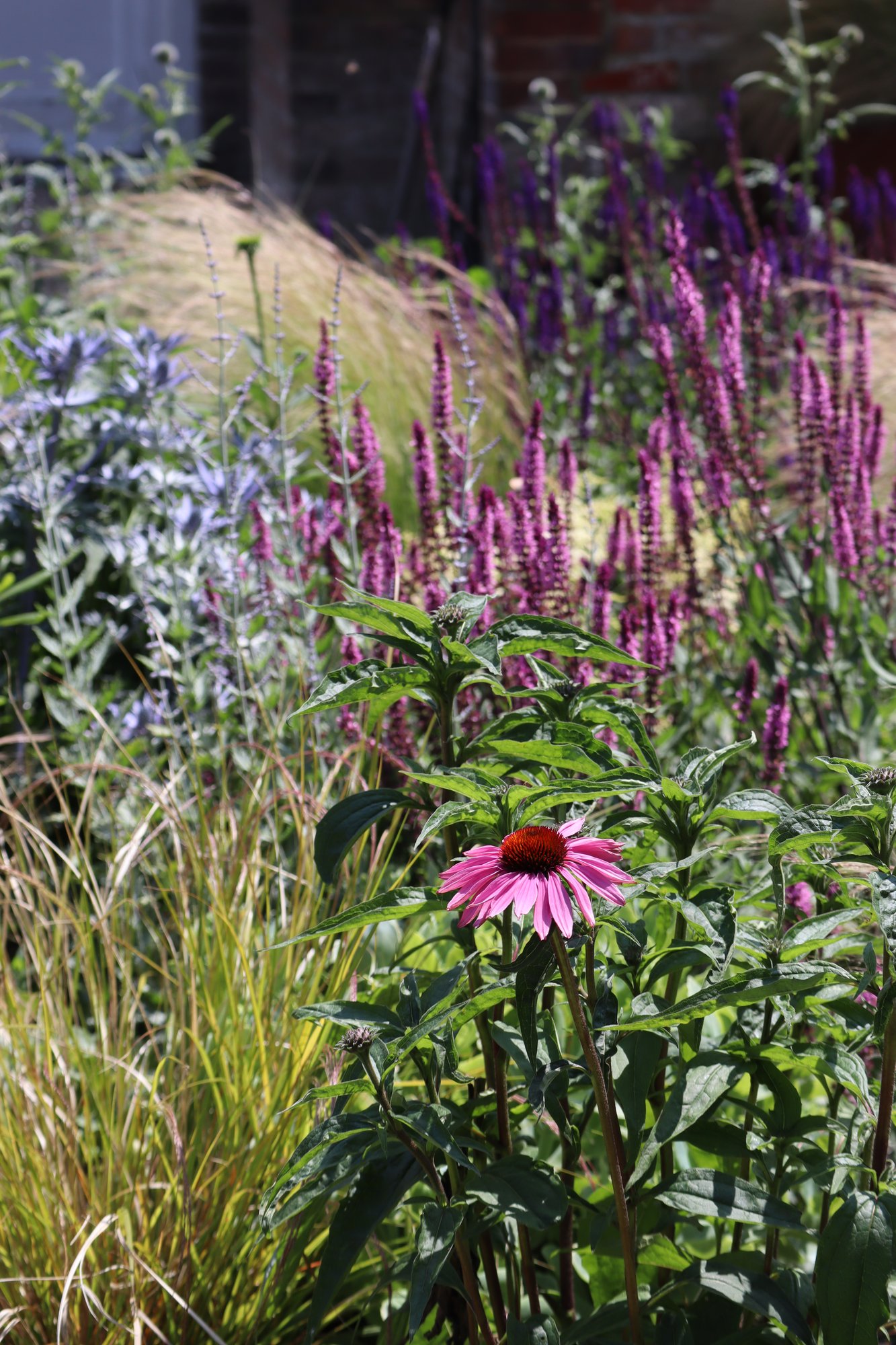Cottage Garden detail