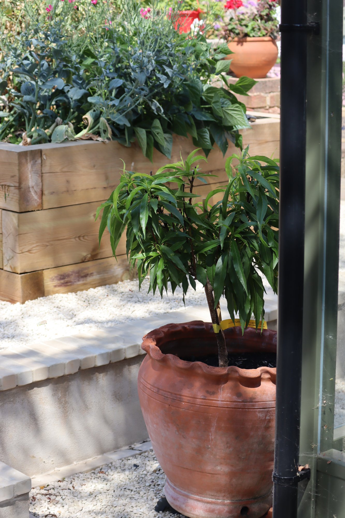 Tiered Kitchen Garden detail