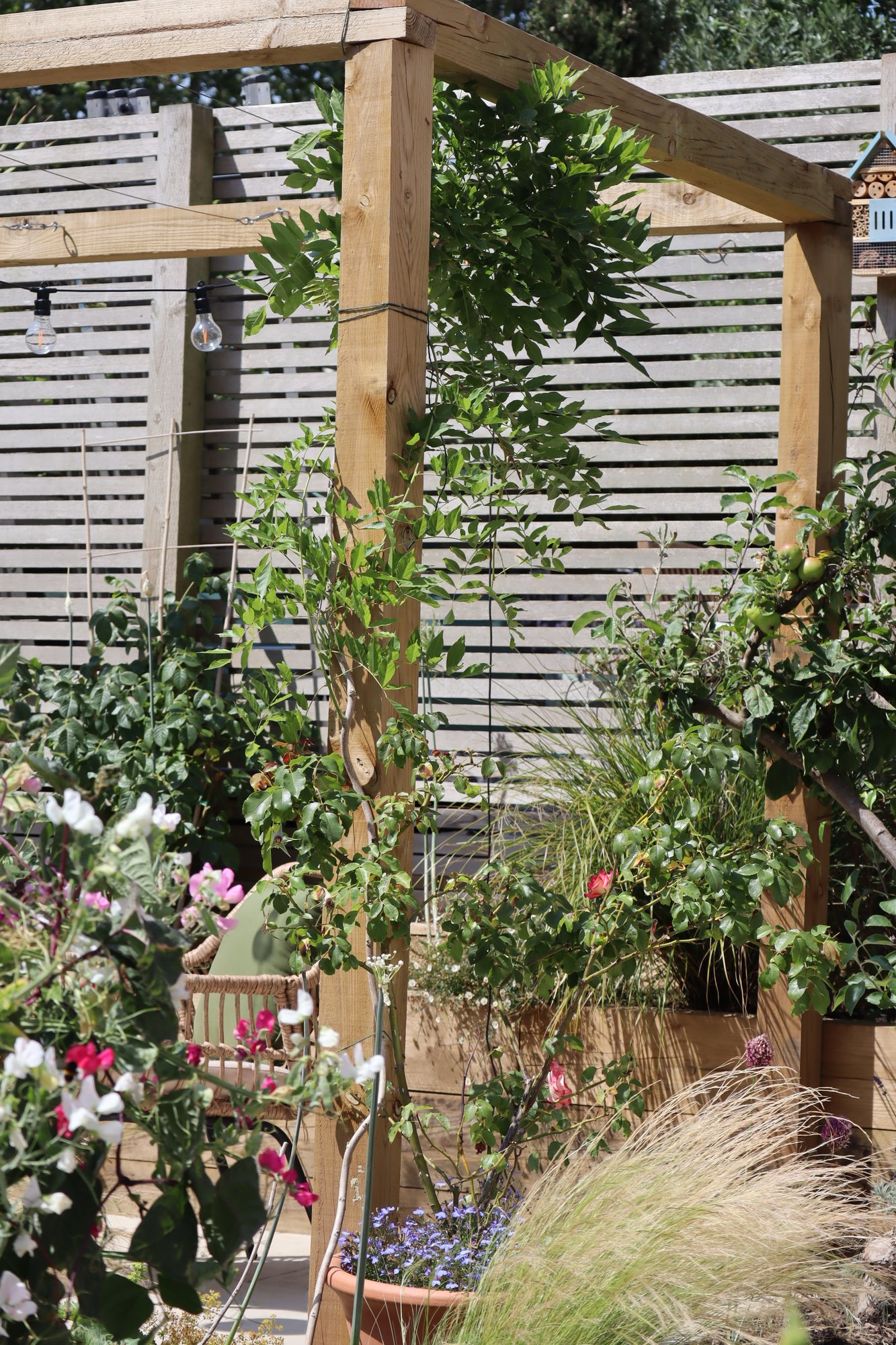 Tiered Kitchen Garden detail