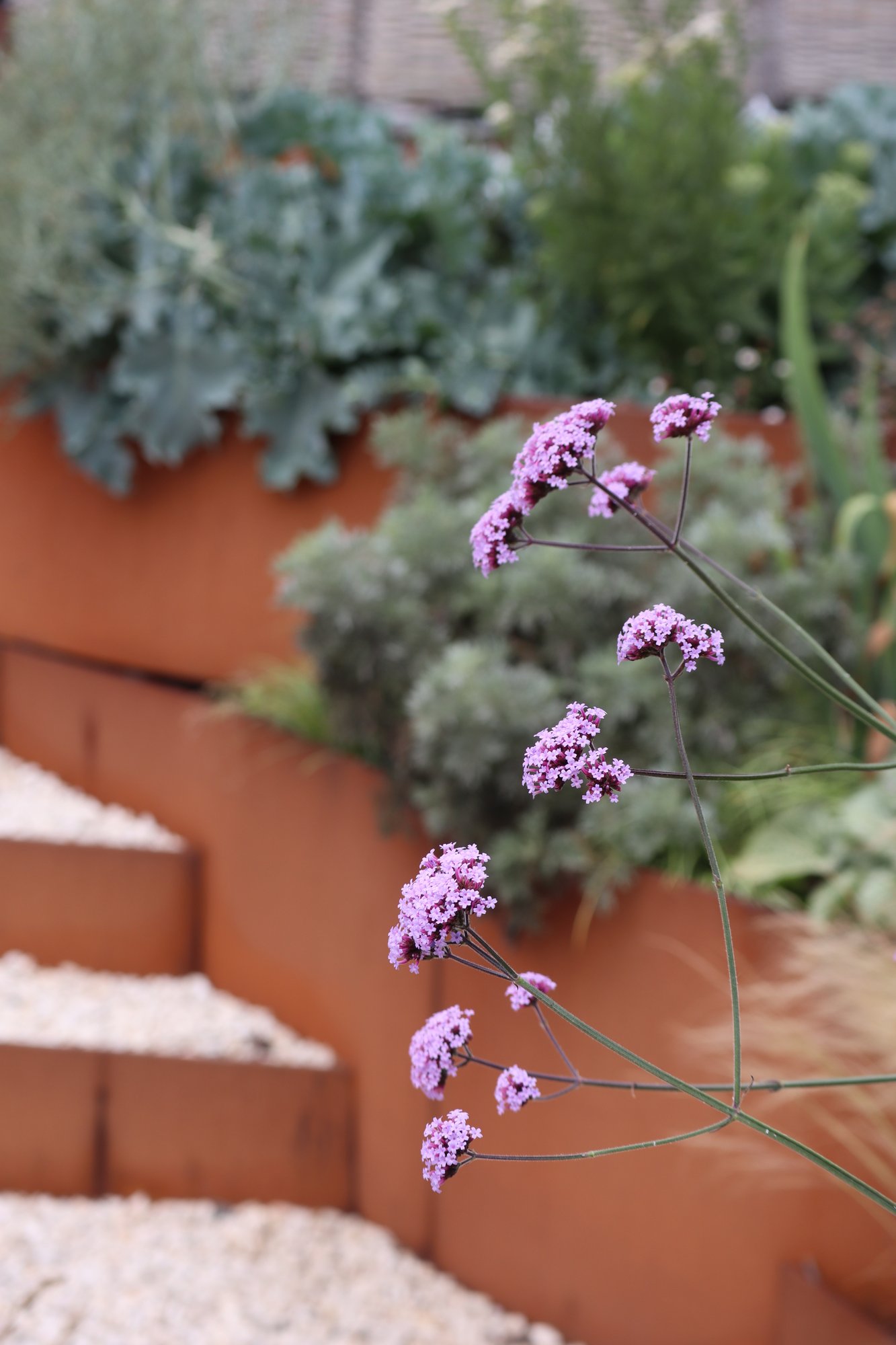 Corten Terraces detail